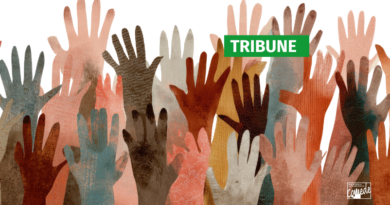 Briser le continuum des violences faites aux femmes exilées. Visibiliser, soigner, protéger : agir pour une prise en soin globale et adaptée Briser le continuum des violences faites aux femmes exilées. Visibiliser, soigner, protéger : agir pour une prise en soin globale et adaptée